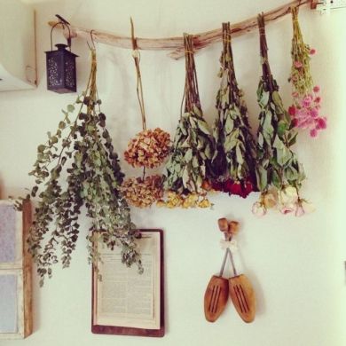 60935a3ea7de80dcb1f3785bf95b5eb6--diy-トイレ-dry-flowers