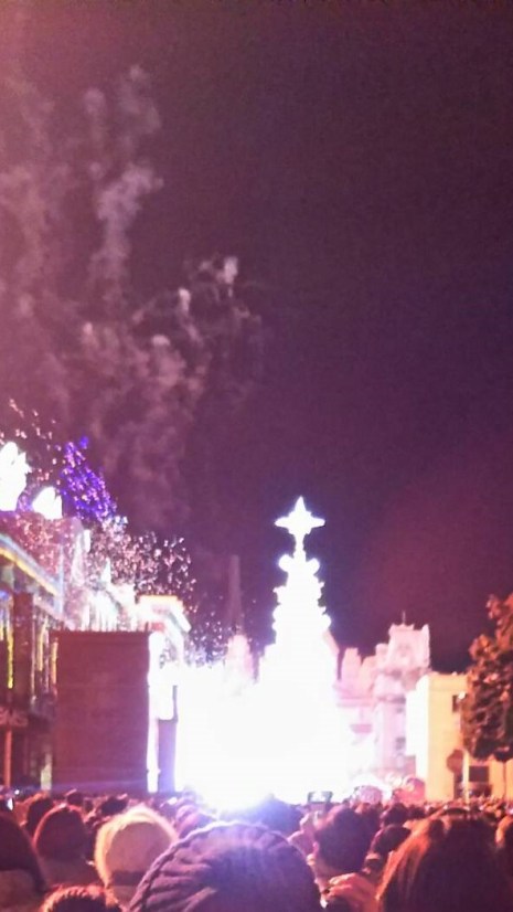 Image_05e829f ツリー