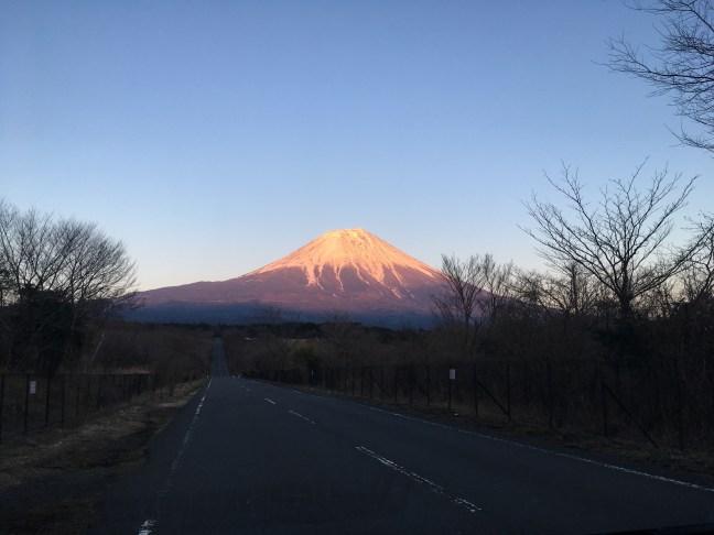 F0B72E51-8A91-44C2-B810-53FF03E932ED