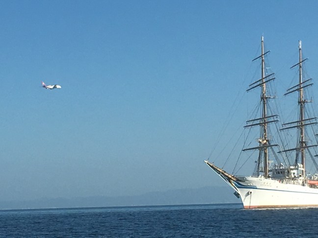 C4D116D2-5D39-4B7E-8E98-C56117EEDBC5