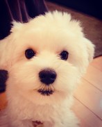 31CB2066-CA56-4F40-928F-4A946704B444