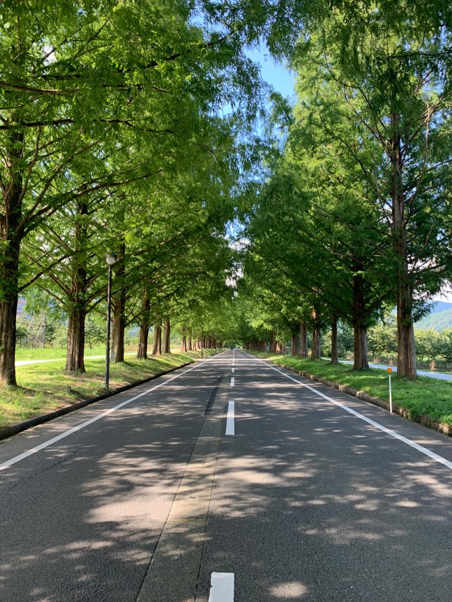 3D551AF7-5E5E-47A5-8301-8A3A30811AFE