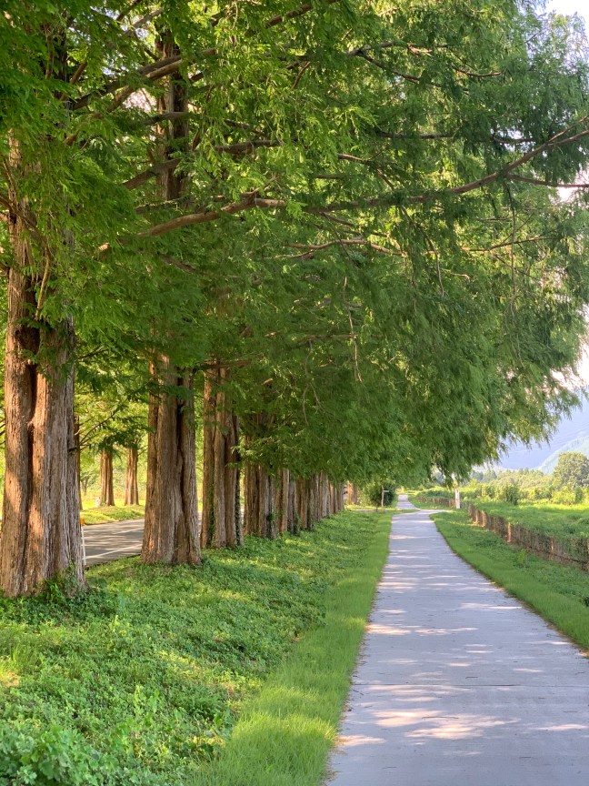 DA1CAC94-60CF-4378-9341-1A4669575F9B